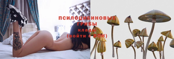 mdpv Корсаков