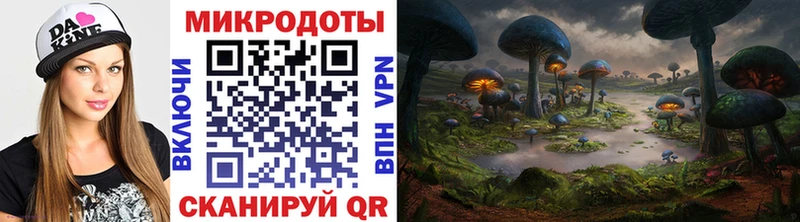 Галлюциногенные грибы GOLDEN TEACHER  Купить закладки  Шумерля 