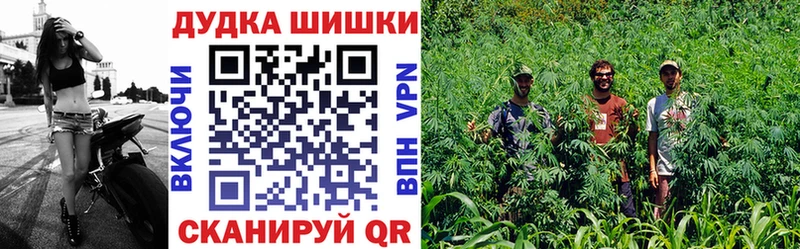 Купить где Шумерля Бошки Шишки THC 21%